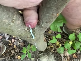 Cum with the tree