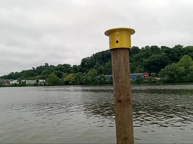 Urinals In Americ: Tennessee River